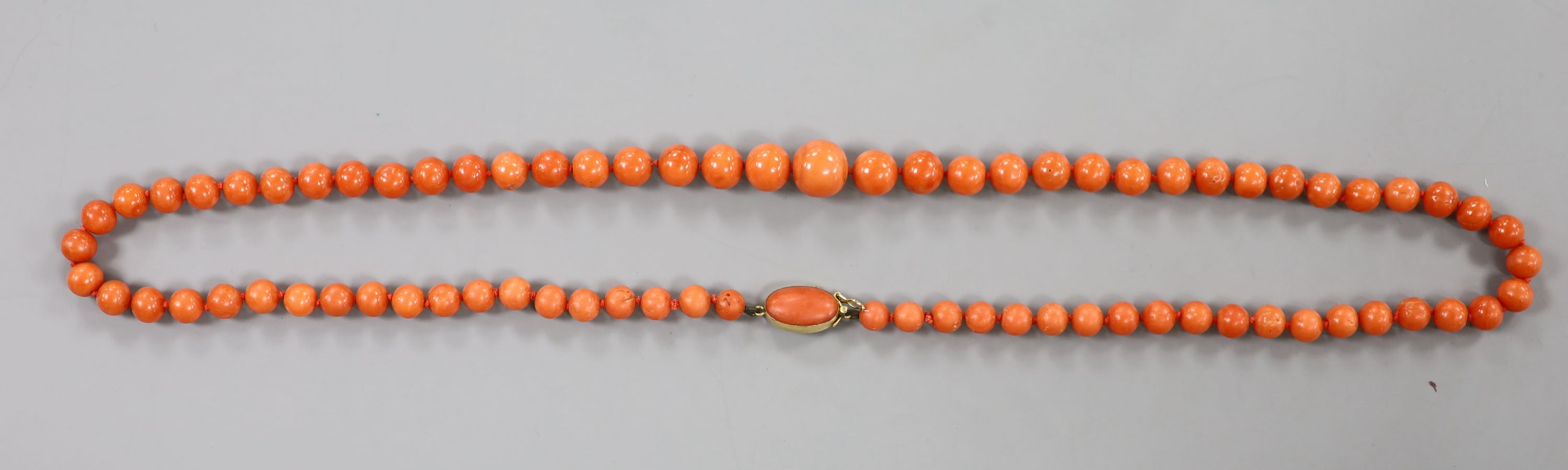 A single strand graduated coral bead necklace, with coral mounted yellow metal clasp